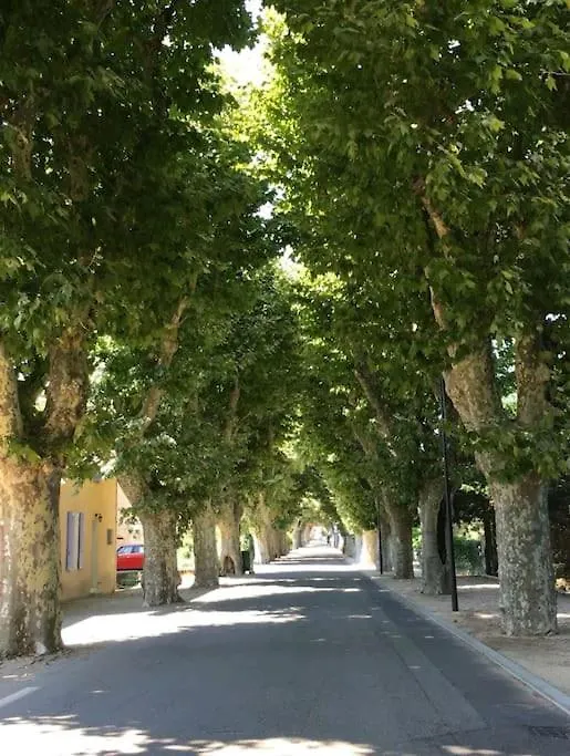 Apartment Entre Ventoux Et Luberon, Appartement Dans Maison. Malemort-du-Comtat France
